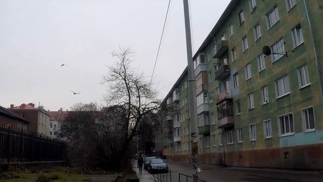 Калиниград. Последний день перед отъездом