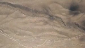 Кадыр Мырзалиев Красная Книга