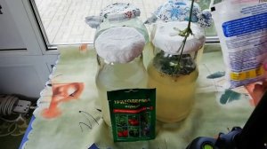 ТРИХОДЕРМА Как вырастить и как использовать?