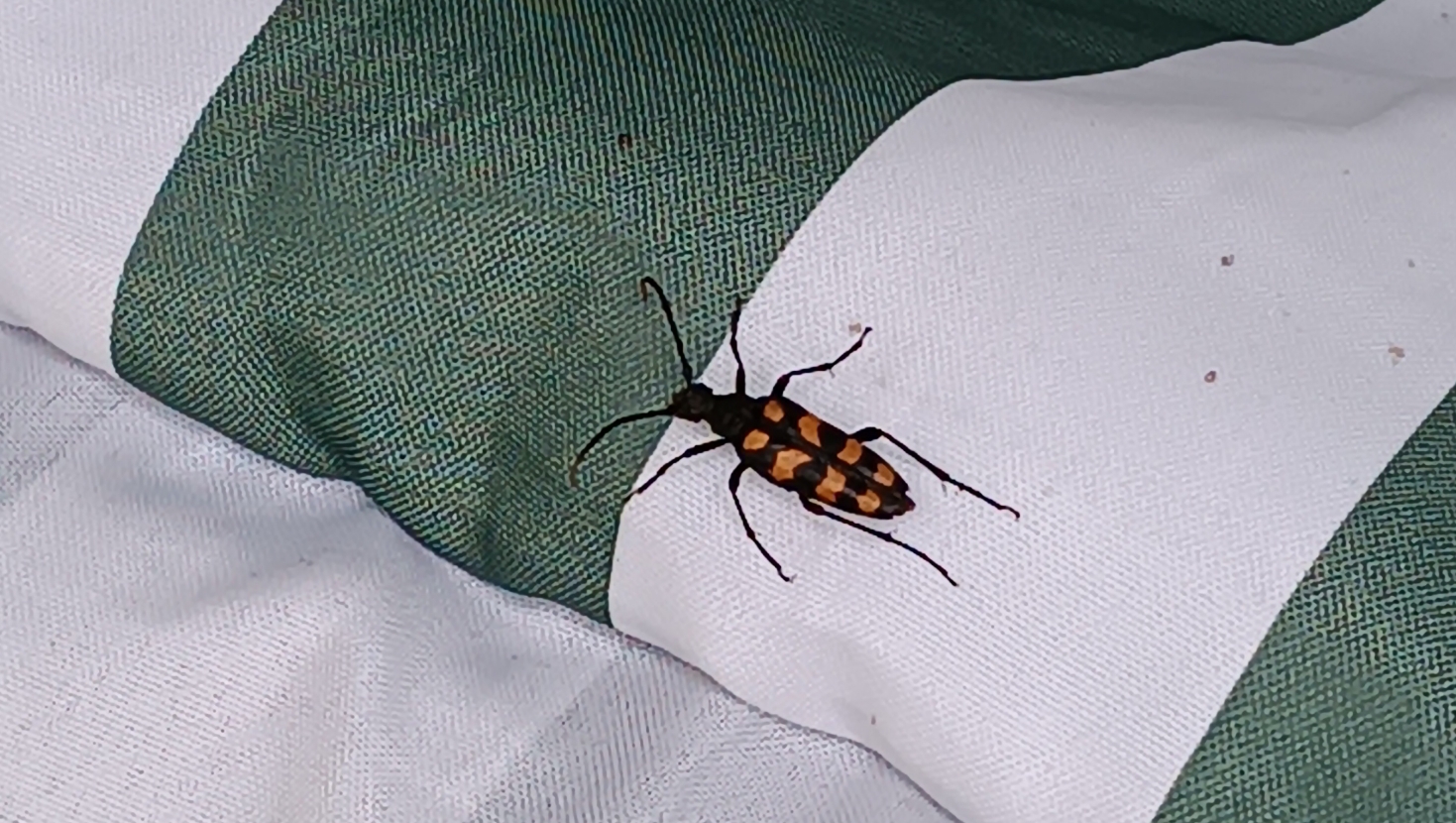 04-07-2024 смотреть онлайн