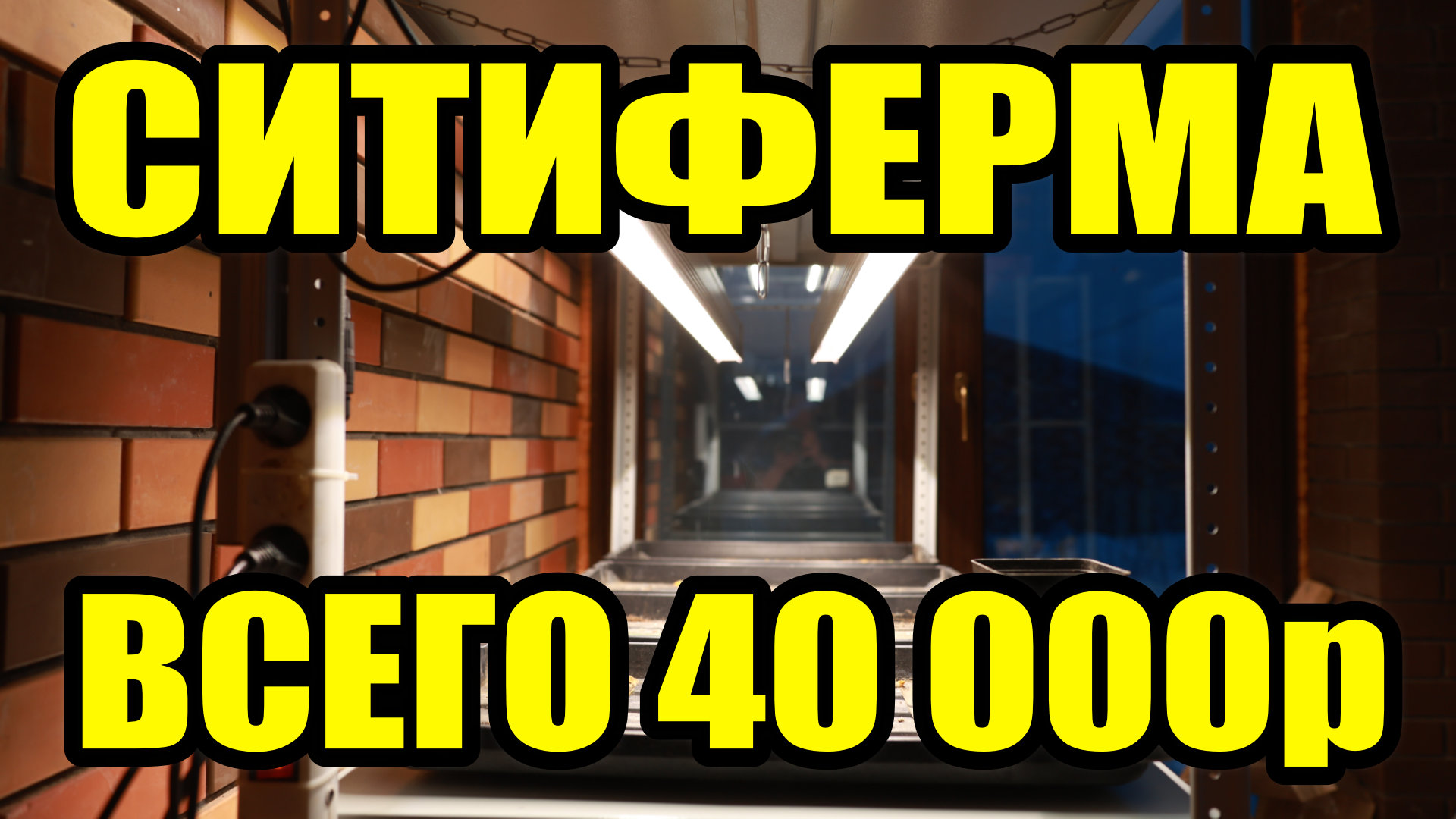 Это не стеллаж для рассады а СИТИ ФЕРМА себестоимость 40 000 рублей