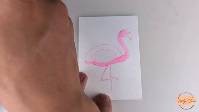 Lovely Flamingo By Watercolor смотреть онлайн