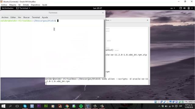 Virtualizacion Ubuntu Gnome - Instalación Java 8, Oracle Xe y SQL Developer смотреть онлайн