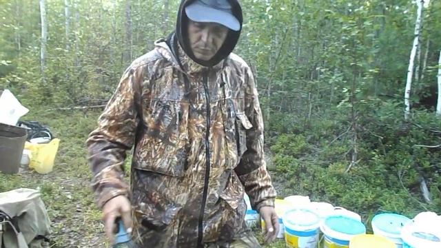 Как собирать голубику смотреть онлайн