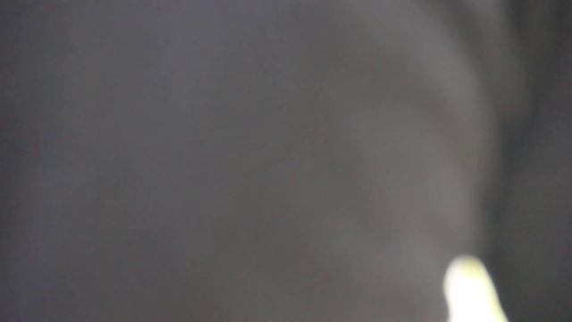 Разминка перед соревнованиями дзюдо 23.02.2015г часть 3 ск "Приозерный" смотреть онлайн