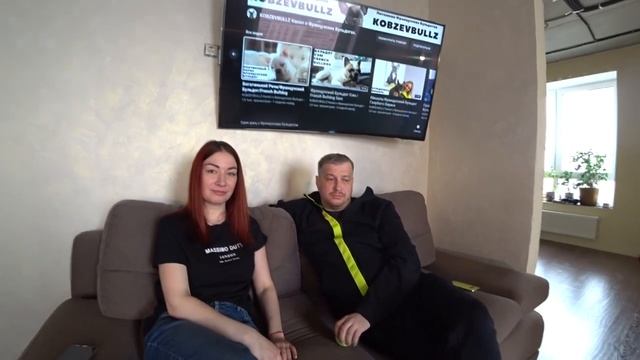 Хьюстон/Полет на Самолете с Бульдогом смотреть онлайн