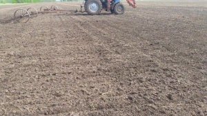 Боронование подсолнечника!