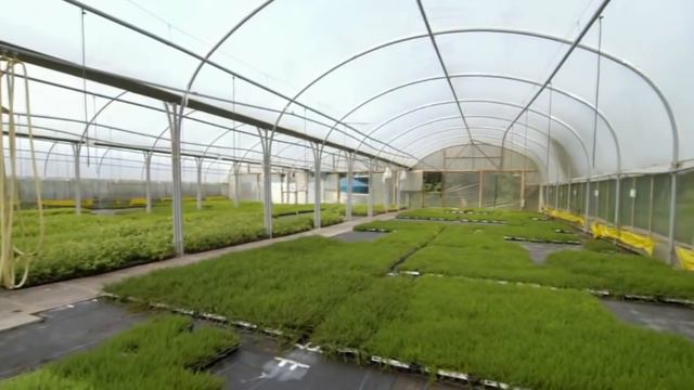 Маразм с CO2 Вернет Нас к Продуктовым Талонам смотреть онлайн