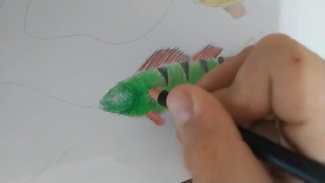 #drawing #какнарисовать #рисуем #рисование #рисунокдлядетей  Как нарисовать рыбу карандашами