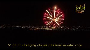 5" Color changing chrysanthemum w/palm core
