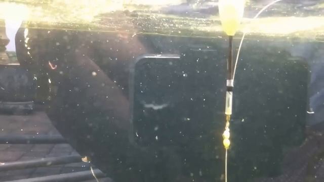 How To Set Up a Float(Bobber)on Fishing Rig - DIY Fishing - Lắp Đặt Phao Câu Cá Căn Bản ! смотреть онлайн