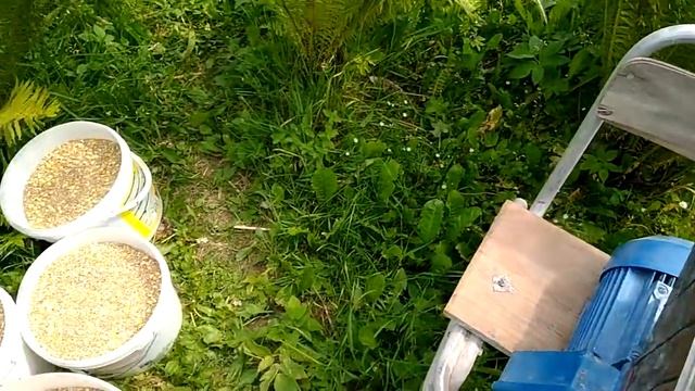 Как выбрать зернодробилку, обзор зернодробилки эликор 1 смотреть онлайн