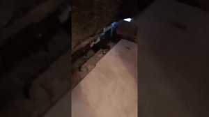 Парилка, как правильно установить чугунную печ Везувий с закрытой каменкой.