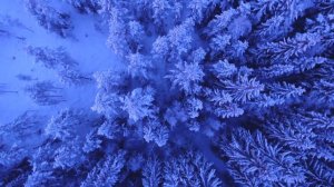 24 Аффирмации. Я принимаю себя таким, какой я есть.