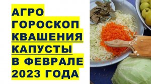 Агрогороскоп квашения капусты в феврале 2023 года. Агрогороскоп квашення капусти в лютому 2023 року