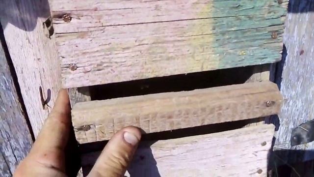 РАБОЧИЙ способ борьбы с КОМАРАМИ///ПРОВЕРЕННО на КРОЛИКАХ!!! смотреть онлайн