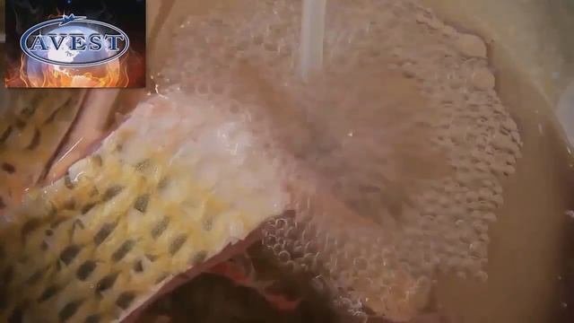 Как очистить продукты от пестицидов? Лучшая дезинфекция - озонатор Авест