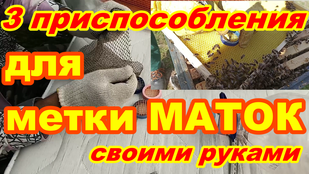 Как пометить матку пчелы БЫСТРО ПРОСТО ! 3 приспособления для МЕТКИ МАТОК за 3 минуты Своими руками