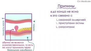 Полипы носа - что такое, причины, методы лечения - кратко