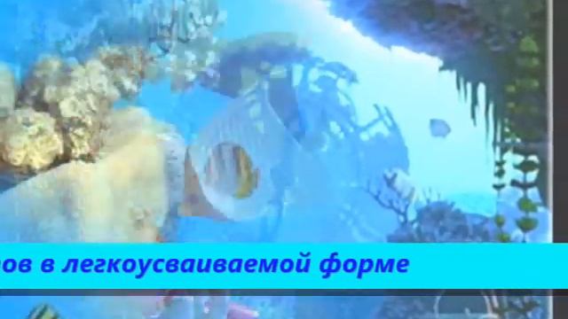 Бизнес и Здоровье. смотреть онлайн