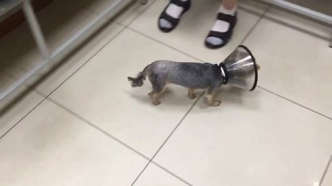 Резекционная артропластика.