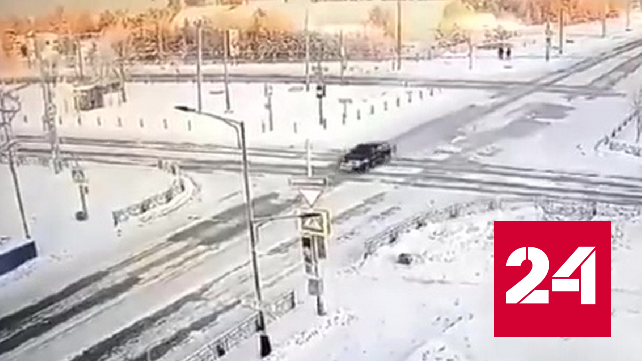 На Ямале водителя на год лишили прав из-за сбитой собаки - Россия 24