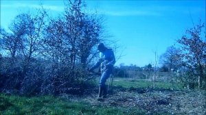 Мотокоса MTD 990 в действии