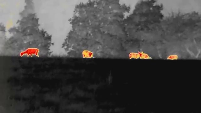 Infiray Eye E6 pro V3 смотреть онлайн