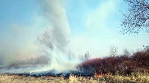 Огненный смерч в Хакасии сняли на видео / События на ТВЦ