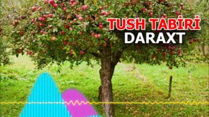 Тушда Дарахт курса - Tushda daraxt ko'rsa nimani bildiradi