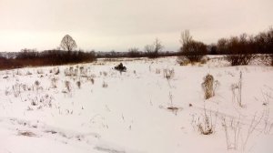 Снегоход Стелс росомаха по не глубокому снегу