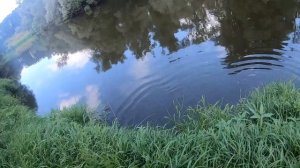 Три дня рыбалки на реке Нара. Уловистый воблер на щуку.