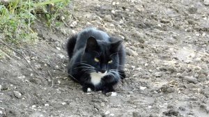 Экскурсии по Забайкалью. Разлившийся Онон возле Чирона