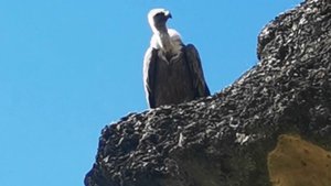Дагестан на машине. Смотровая у села Харачи и с горы Зуберха.