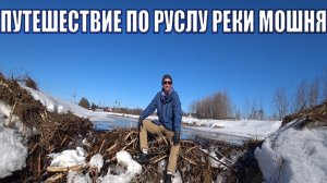 Река МОШНЯ от истока до устья