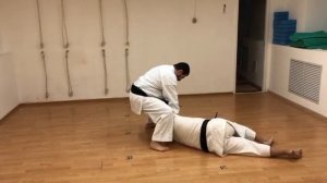 Bunkai Wa uke (mawashi uke) and blow (Boshiken or Teisho) / Sensei Totibadze 8 Dan karate