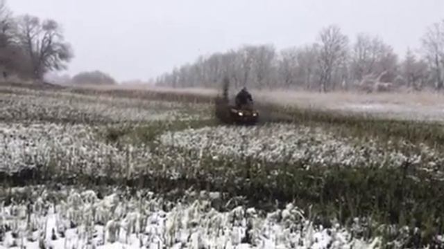 BRP 650