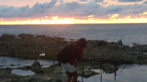 ХЕРСОНЕСКИЙ ПОЛУОСТРОВ. СЕВАСТОПОЛЬ. КРЫМ.