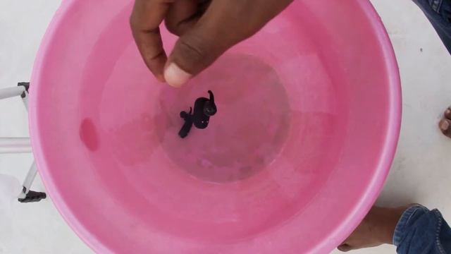 Boat Airdope buds water test @LAMBU_JAMBU смотреть онлайн