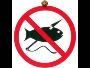 Запретят ли подводную охоту?