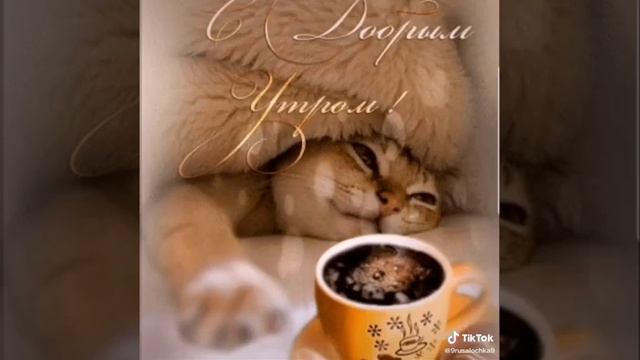 Хорошего денька! Отличного  настроения ! 