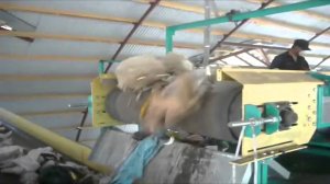 Переработка мусора. Сортировка ТБО