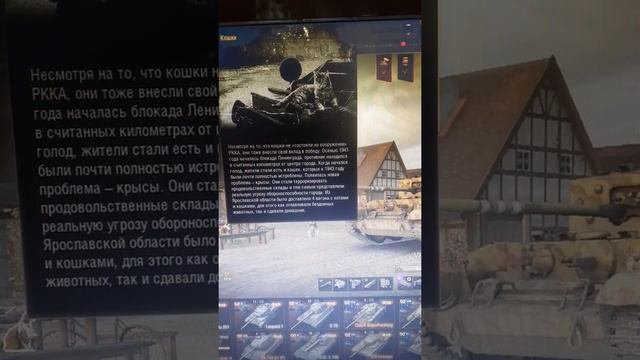 Как коты спасли Ленинград 1941-1945