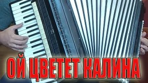 Ой цветет калина на аккордеоне Аккордеонист (аккордеон Кавер)