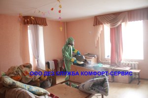 Как избавиться от тараканов и клопов? Уничтожение тараканов и клопов холодным туманом.