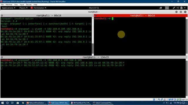 Ethical hacking course.  Take the CEH V10 exam