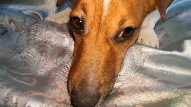 КОГДА ГУЛЯТЬ ??? смотреть онлайн