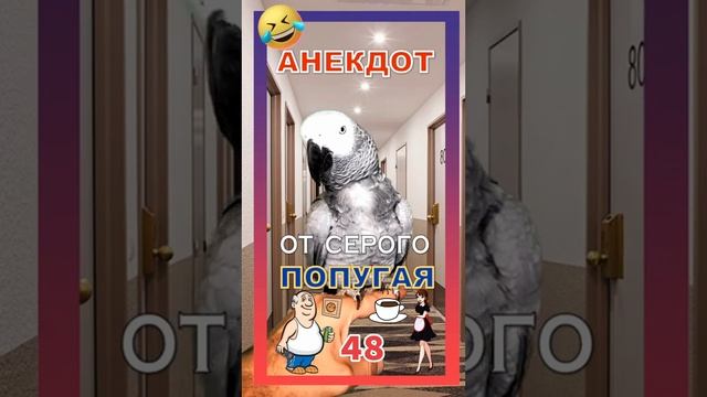 Анекдот 48 смотреть онлайн