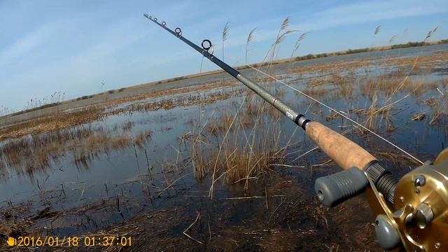 Змееголов весом 3.340 на лягушку. смотреть онлайн