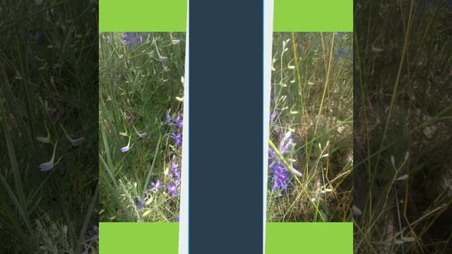 Желаю тебе доброго и солнечного настроения